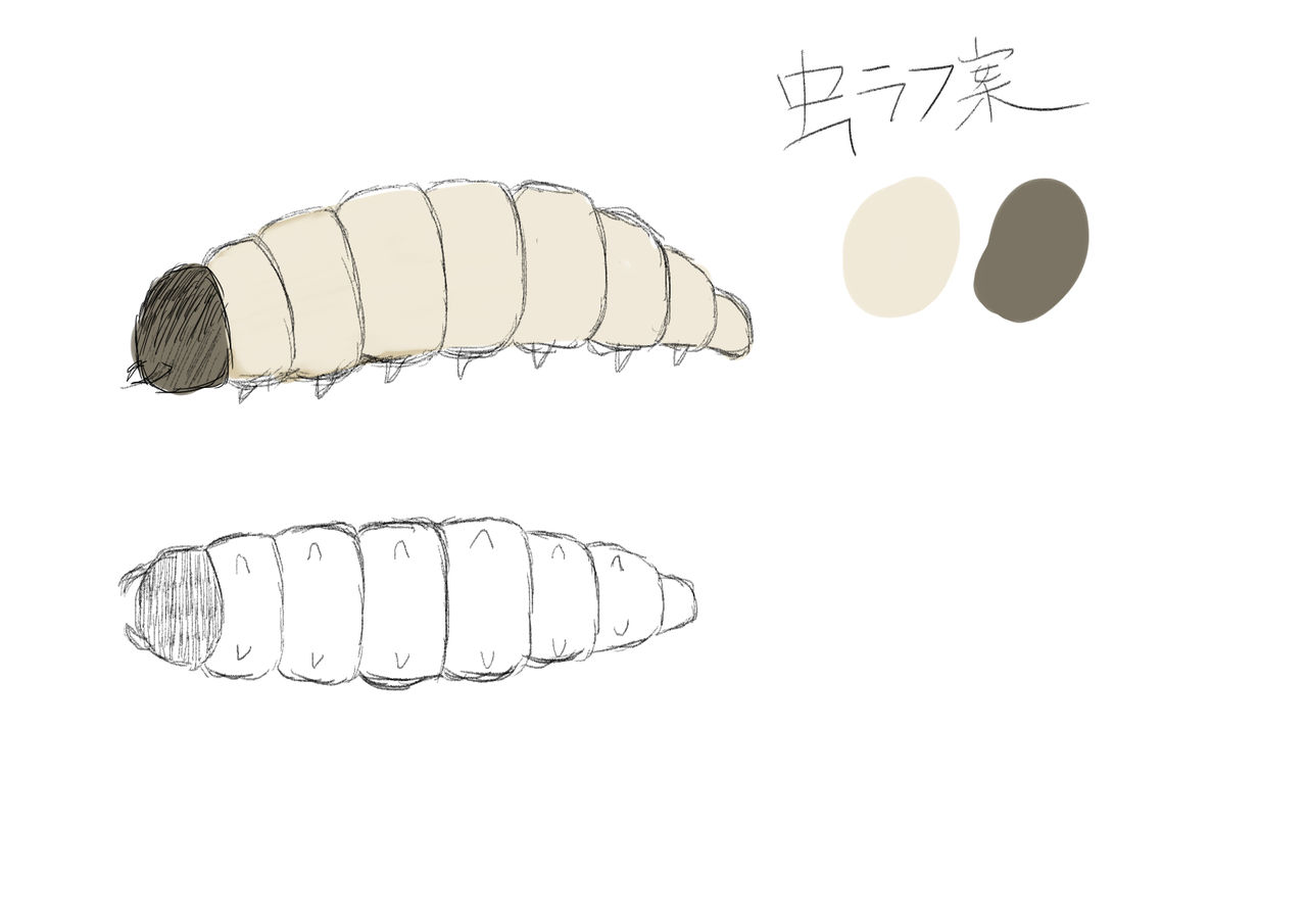 オオムシ解説図鑑