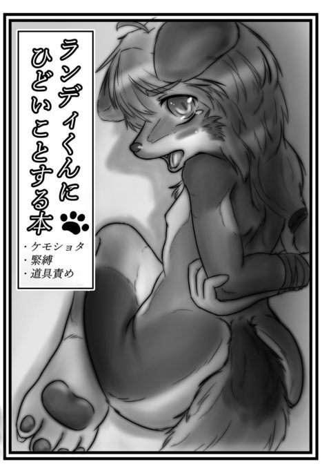 ランディくんに飛騨箏する本 ランディくんに飛騨箏する本