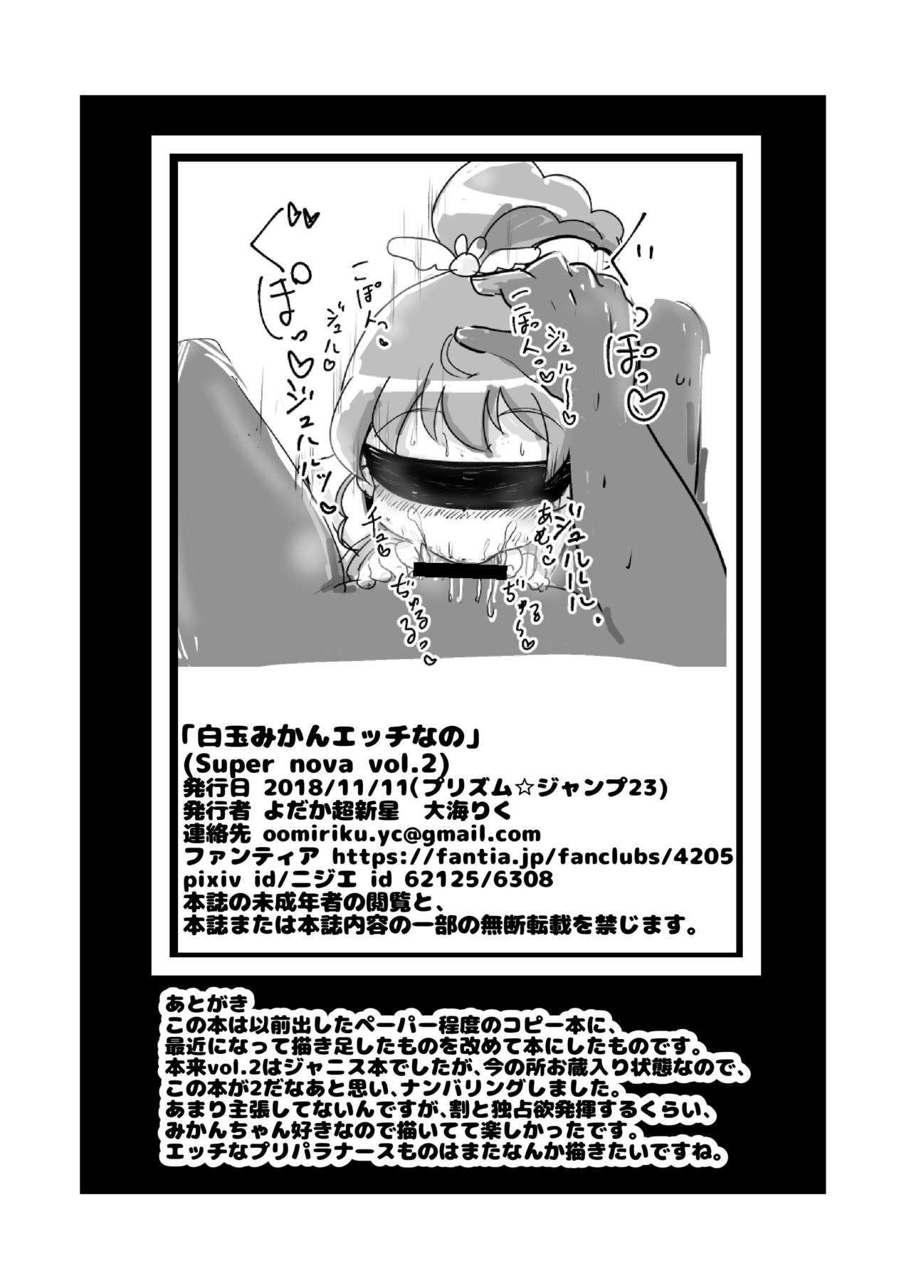 [よだか超新星 (大海りく)] Super nova vol.2 (プリパラ) [DL版]