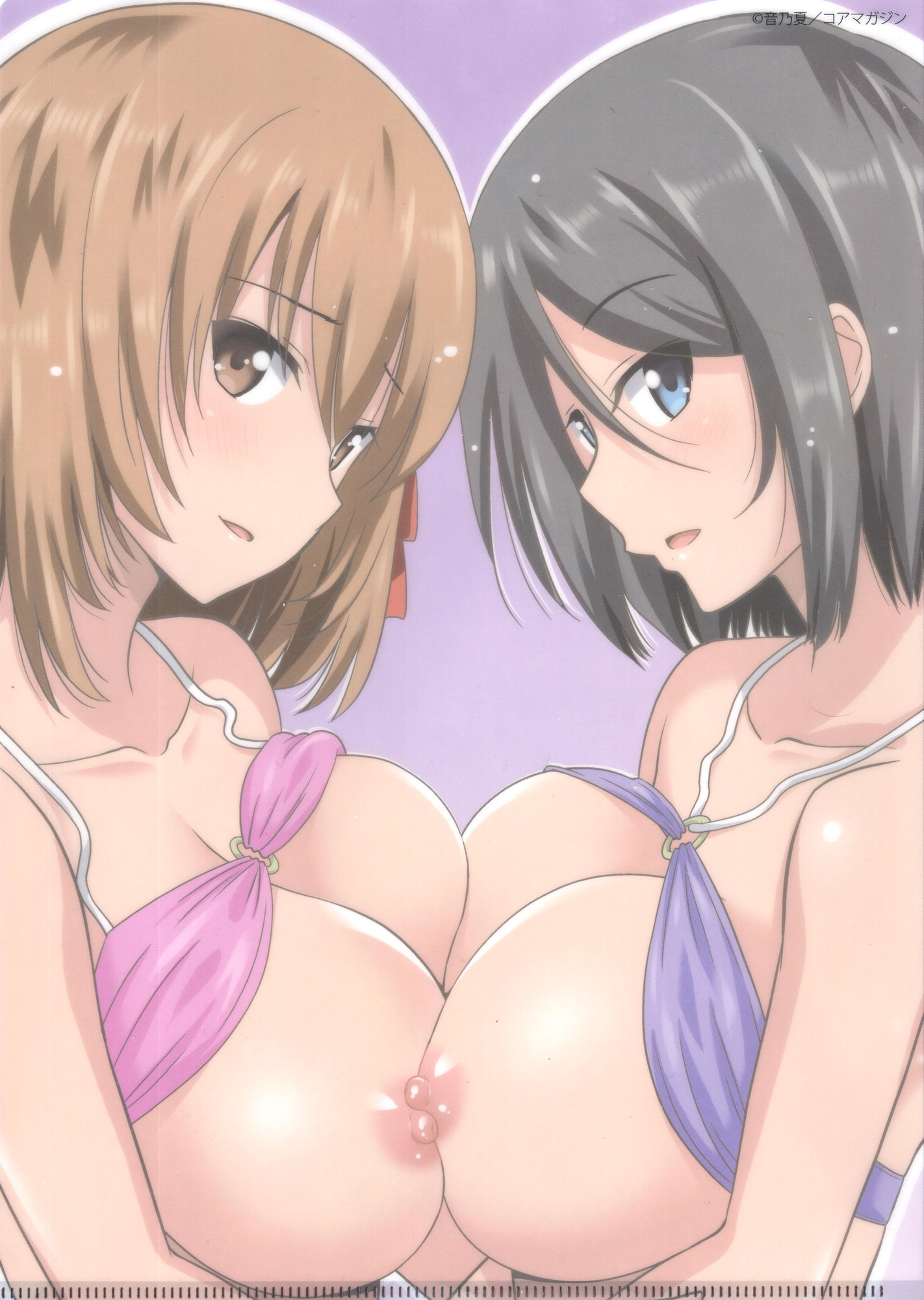 ワンダフルデイズ〜17人の少女と犬〜