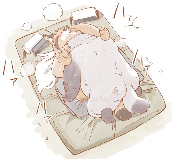 けものの六角まつり