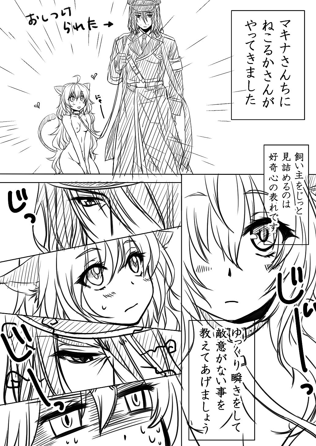 [みあ] ねこるかさんの飼い方 (Dies Irae)