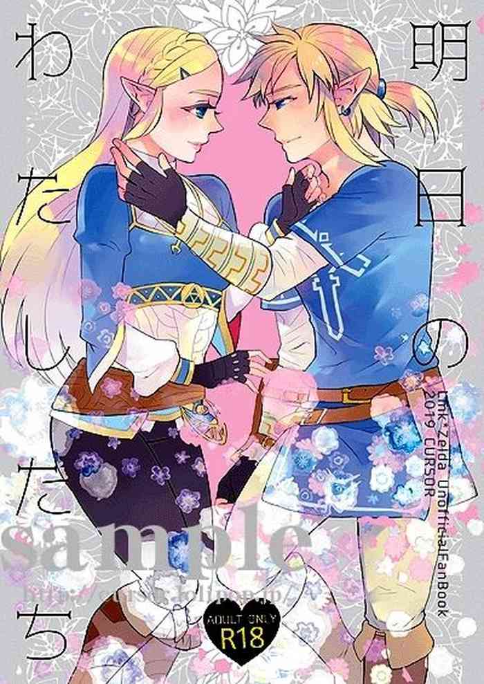 (ALL STAR 9) [カーソル (サトー)] 明日のわたしたち (ゼルダの伝説)