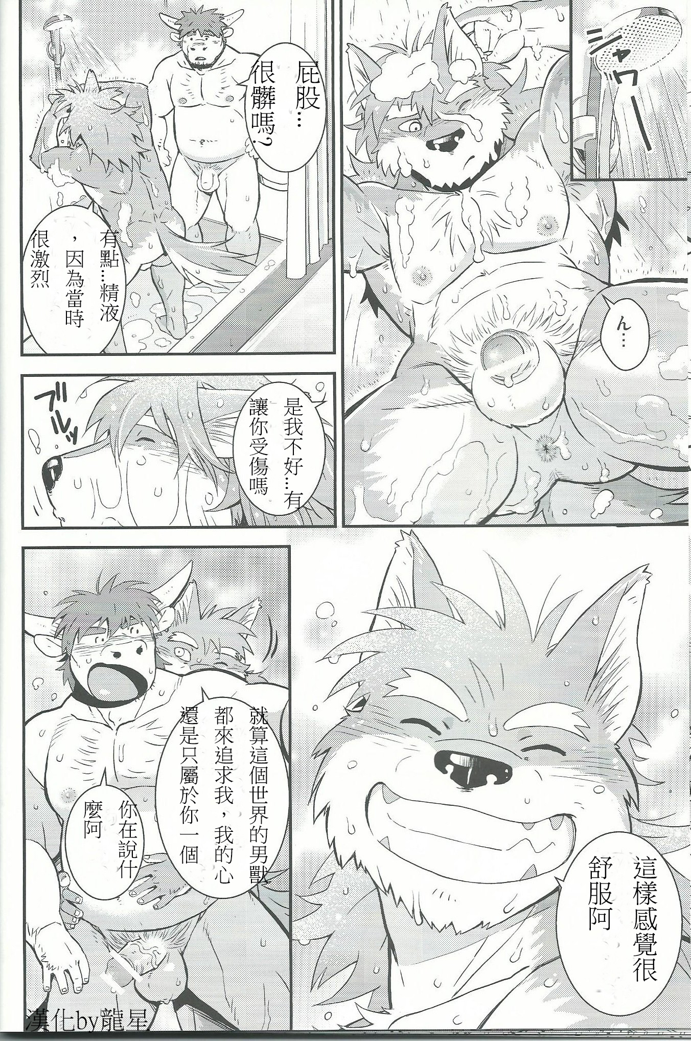 オオカミ/牛