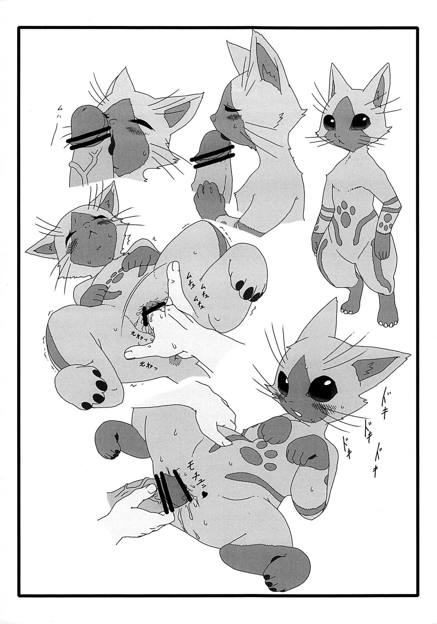 夜の大友にあいろうお。 夜の大友にあいろうお。