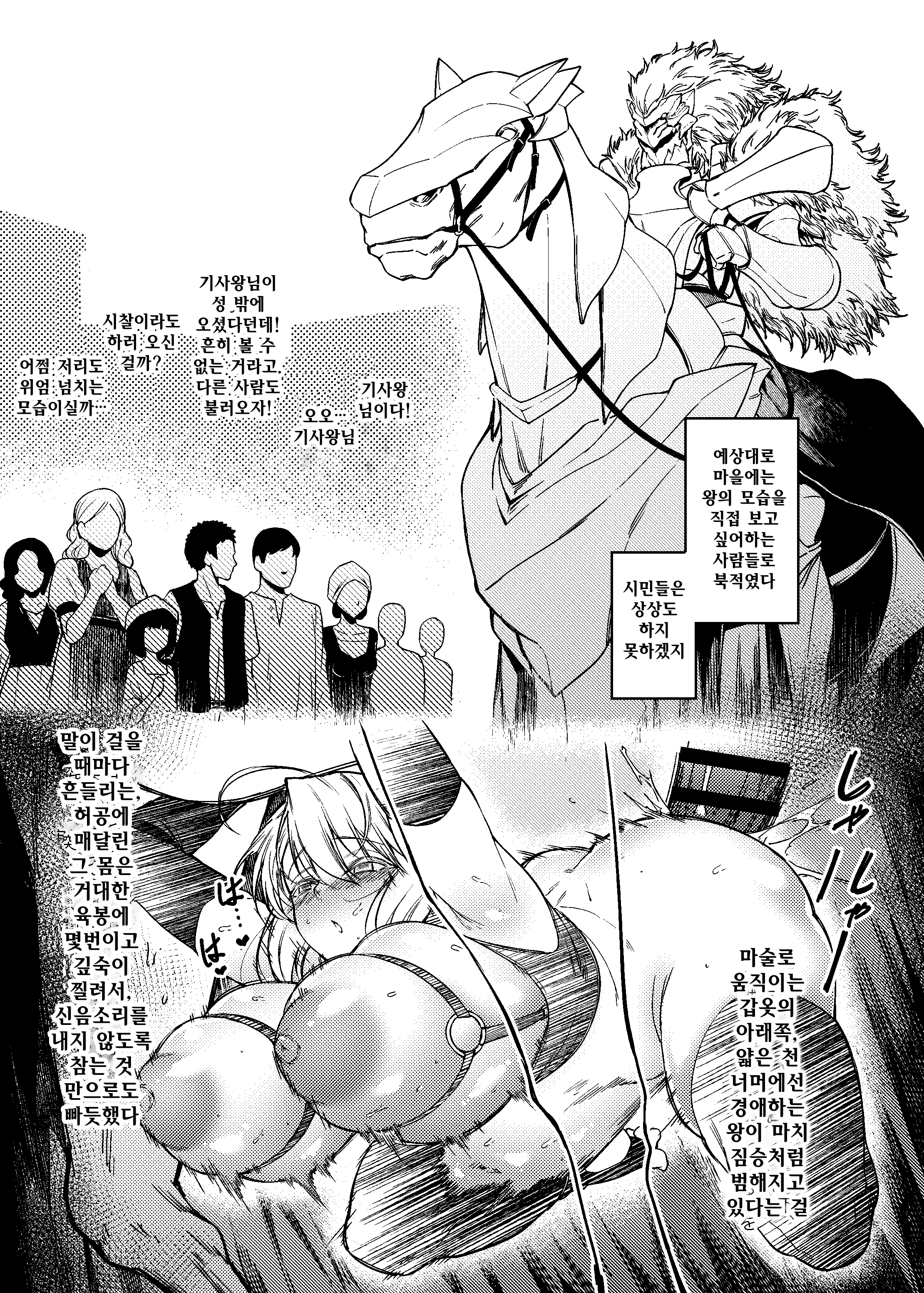 白馬にノラレル岸3