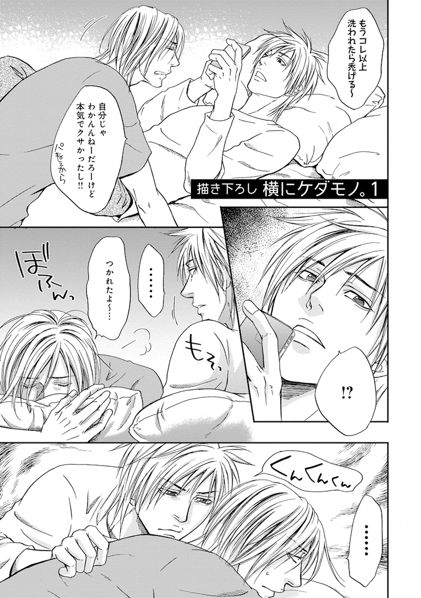 陽子にけだもの。