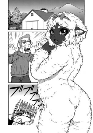 羊の剪毛 羊の剪毛