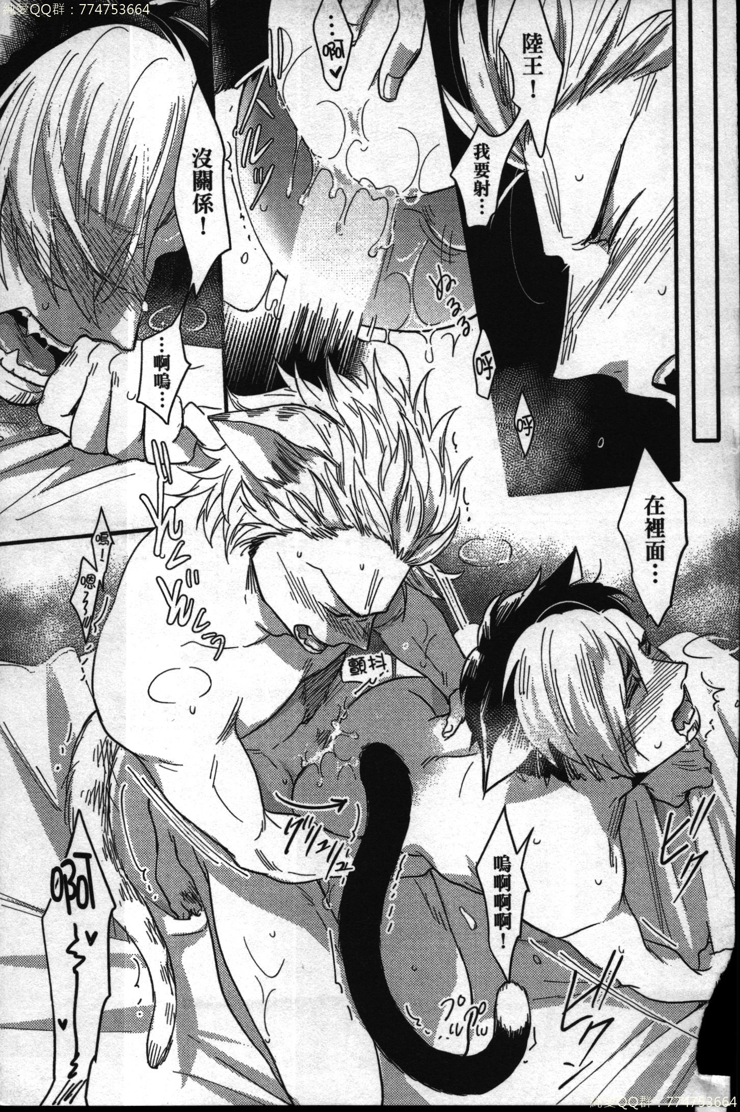 初条けものひより|發情野獸日和 初条けものひより|發情野獸日和