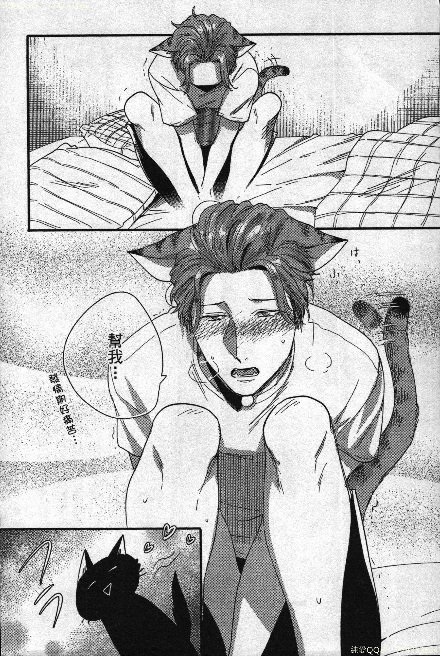 初条けものひより|發情野獸日和 初条けものひより|發情野獸日和