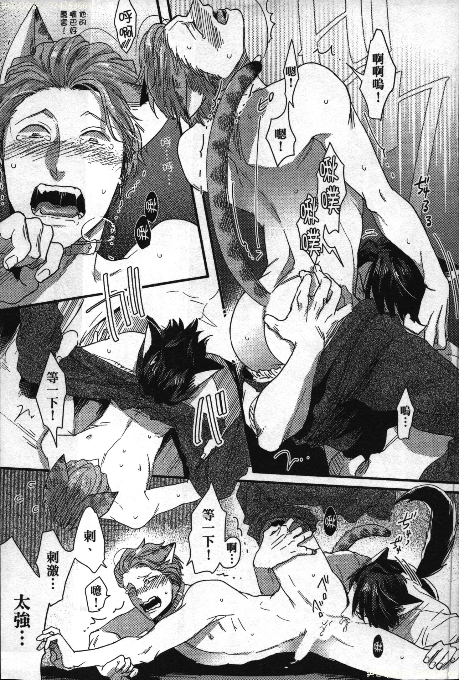 初条けものひより|發情野獸日和 初条けものひより|發情野獸日和