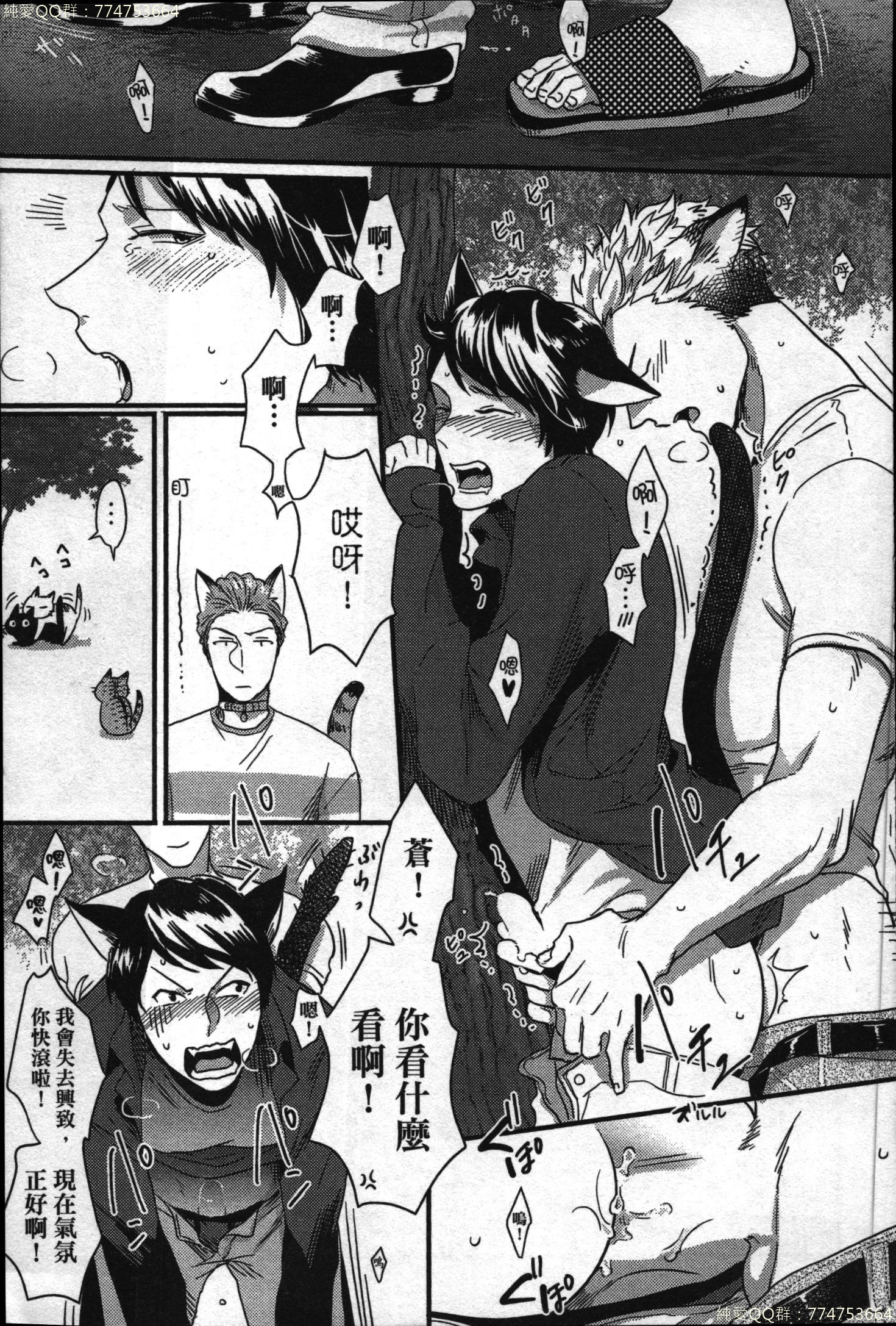 初条けものひより|發情野獸日和 初条けものひより|發情野獸日和