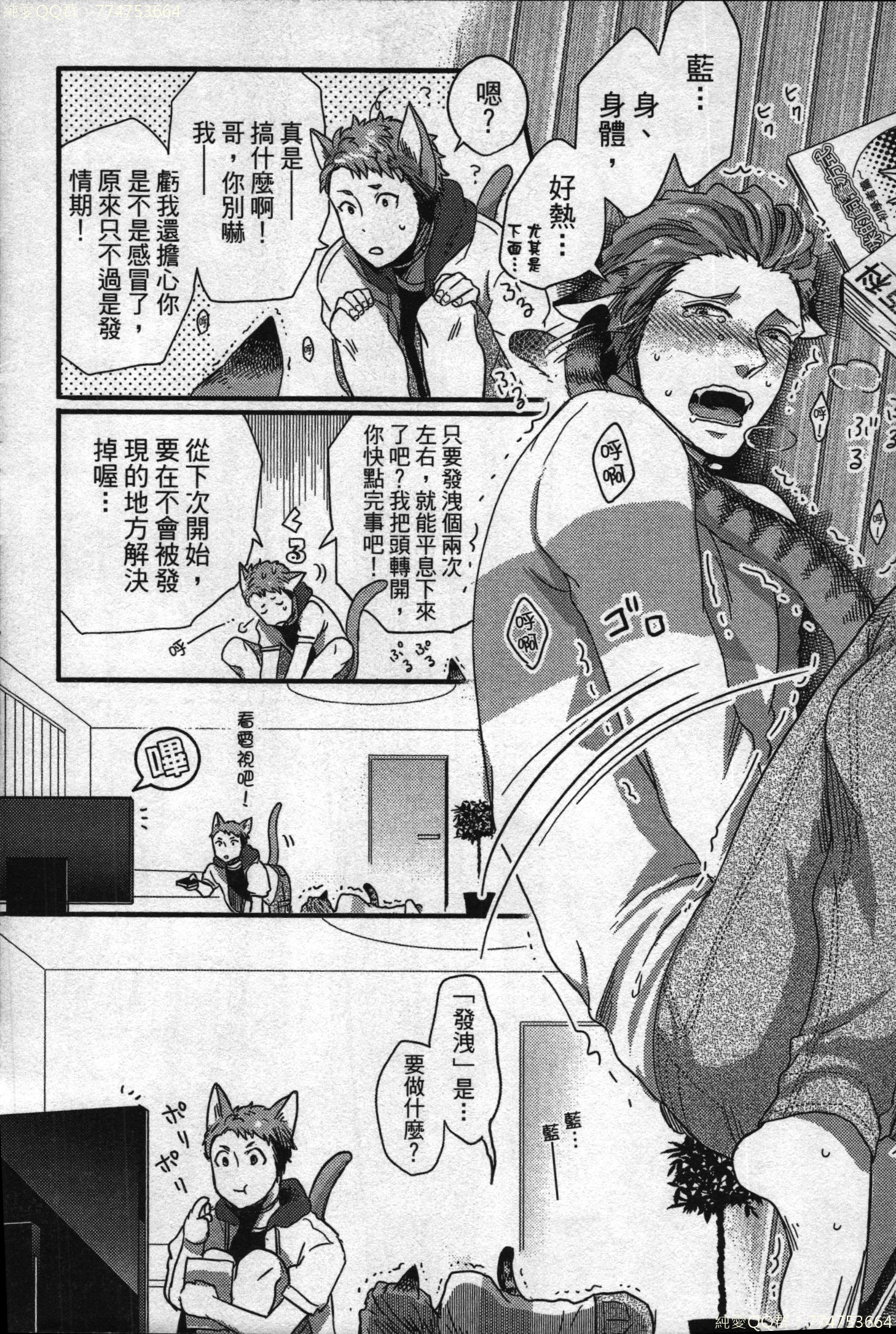 初条けものひより|發情野獸日和 初条けものひより|發情野獸日和