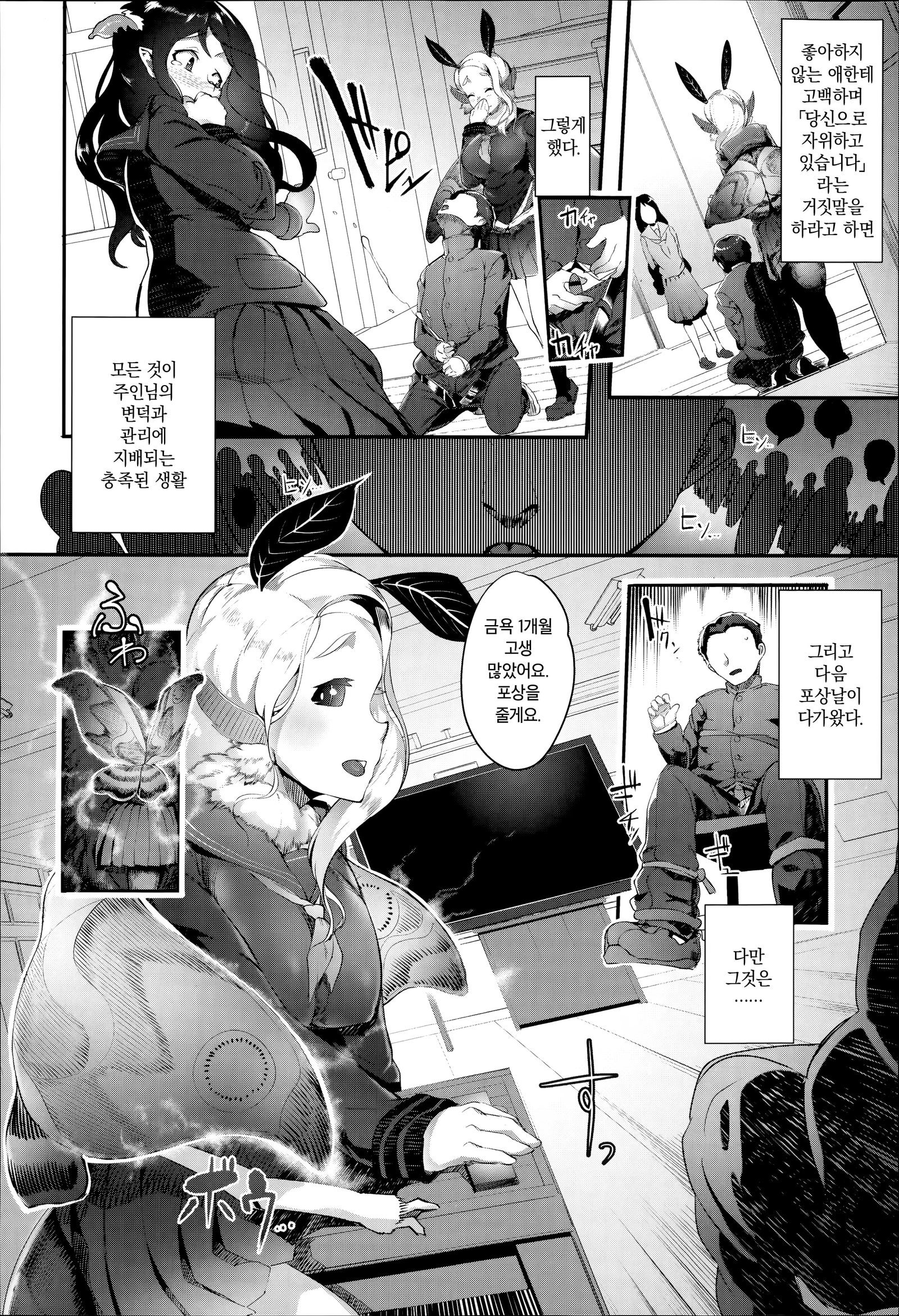 こうちょうのどくみつ| 호접의독꿀