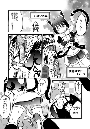 迷いの森で 迷いの森で