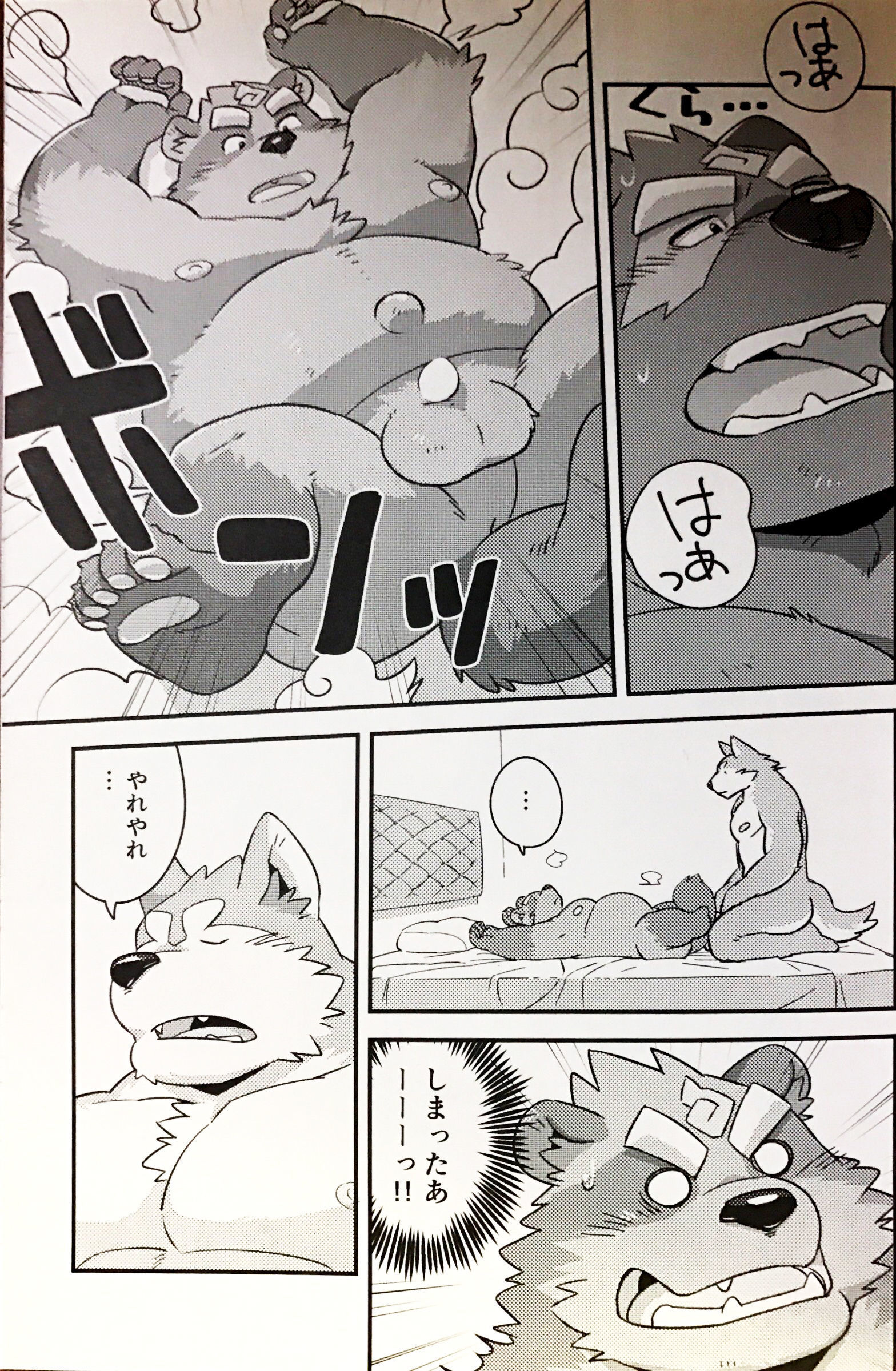 タヌキとタヌキのバカシ愛