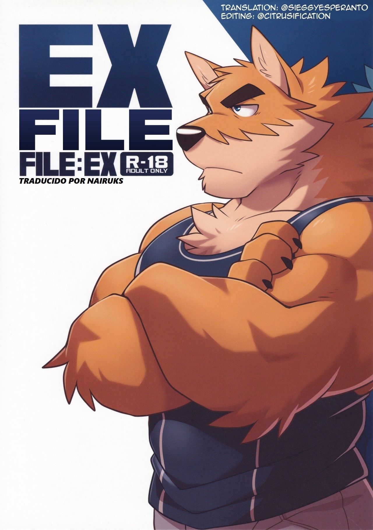 元ファイル 元ファイル