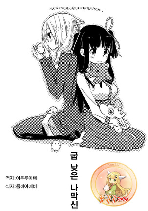 ひよりりがた ひよりりがた