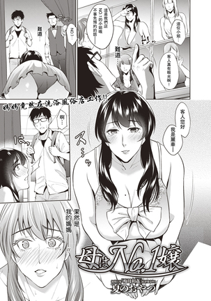 はははNo.1城 はははNo.1城