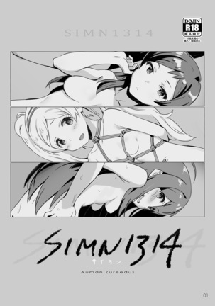SIMN1314 SIMN1314