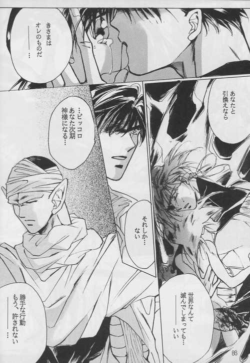 [テンダネス (加瀬みずき)] 恋愛論II (ドラゴンボール Z)