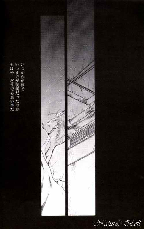 (C52) [STEAL (坂本ミキ)] DEATH & REBIRTH (ファイナルファンタジー VII)
