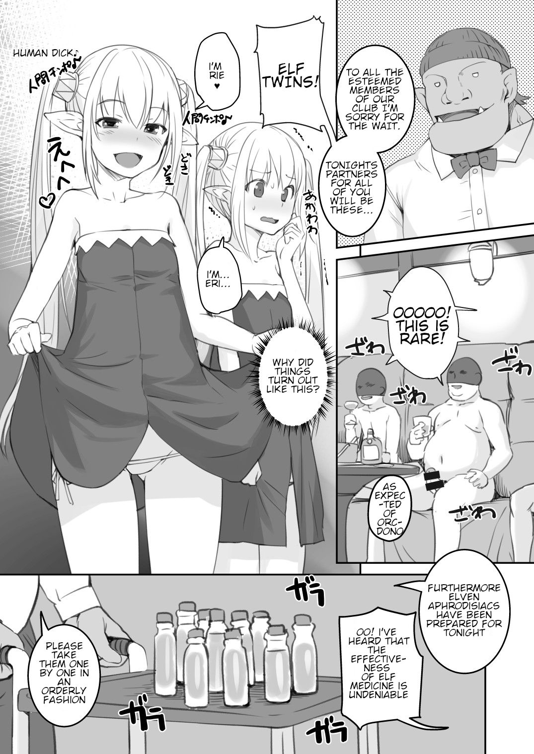 [AskRay (ぼっしぃ)] エルフと人間の街 [英訳] [DL版]