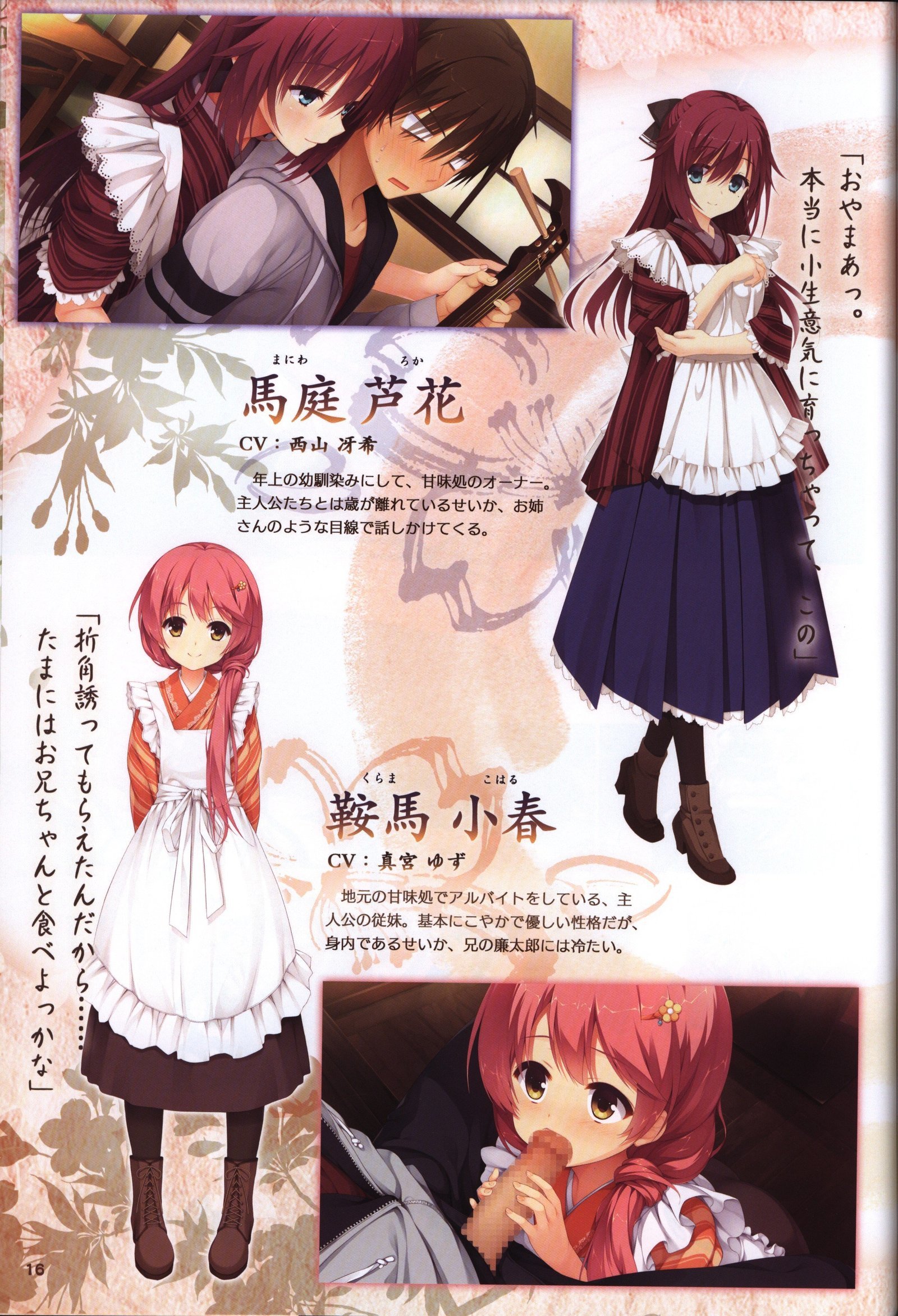 ゆずソフト10周年記念ブックゆずうに