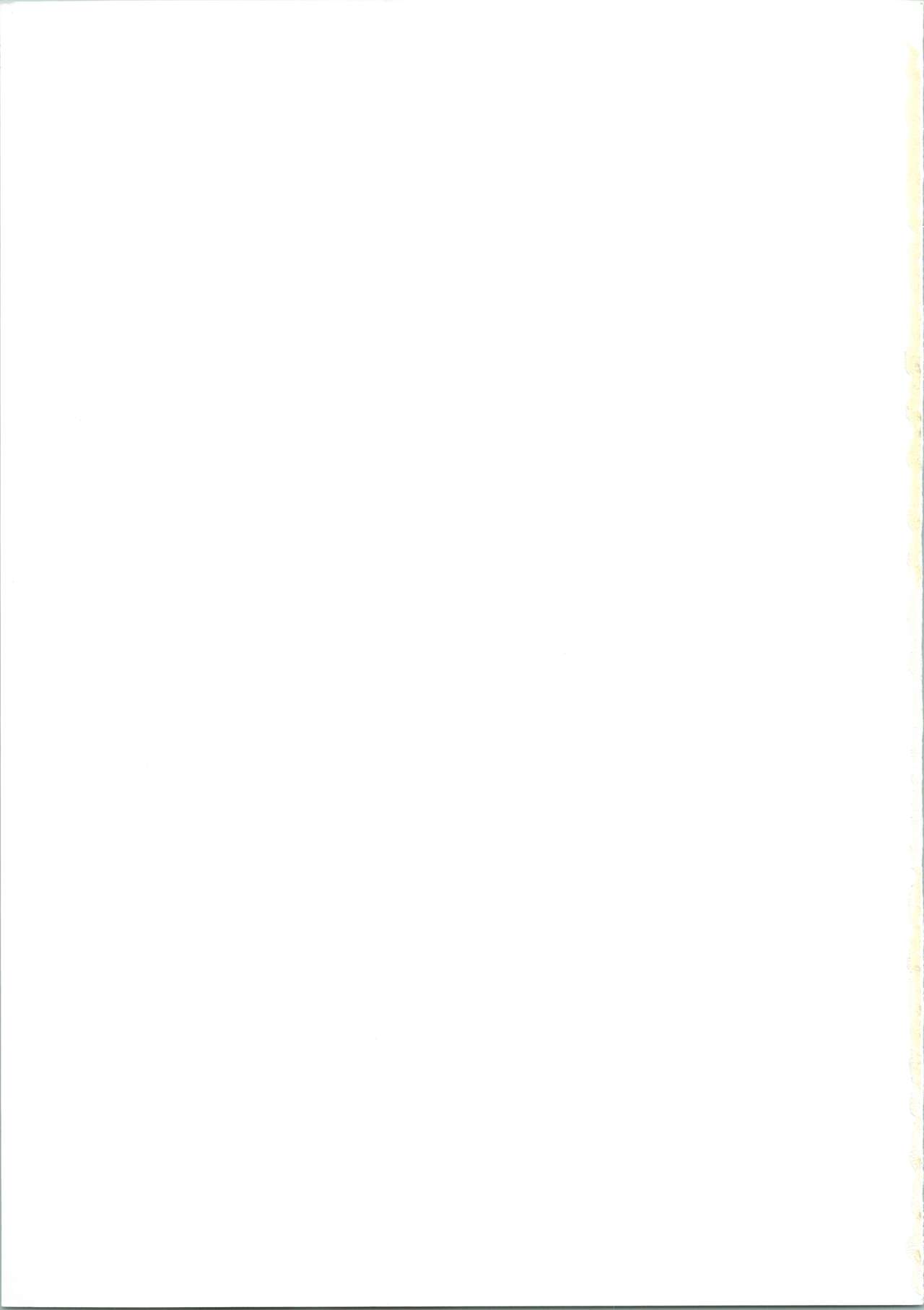 (C61) [GUST (春風ソヨグ)] 黒猫たちの饗宴 La banquet de Chat Noir (ノワール)