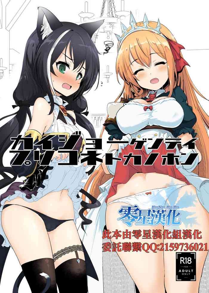 [瓢屋 (もみお)] カイジョーゲンテイプリコネトカノホン (プリンセスコネクト!Re:Dive) [中国翻訳] [DL版]