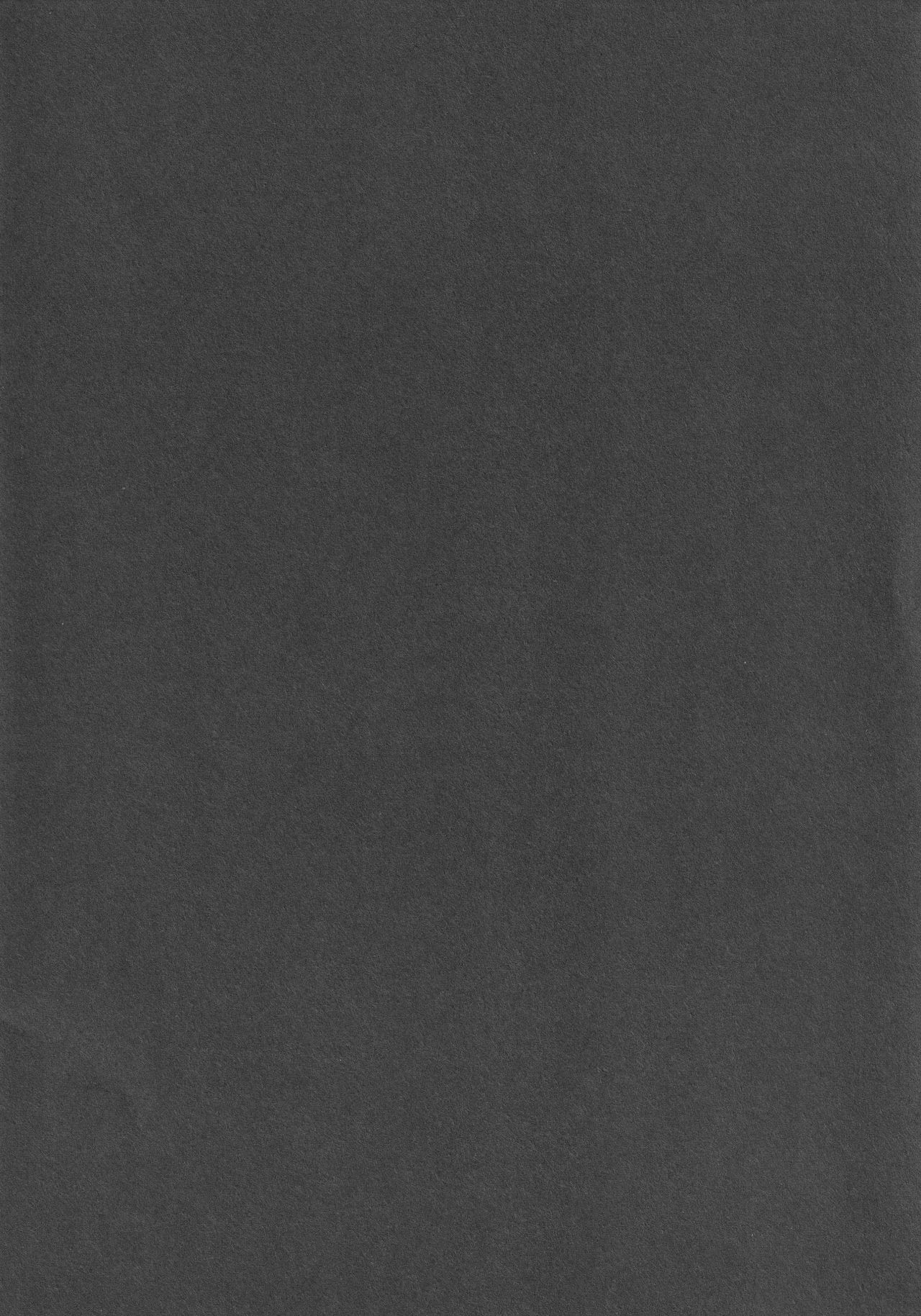 (例大祭15) [IRIOMOTE (沙流)] 第十五回博麗神社例大祭会場限定本 (東方Project)