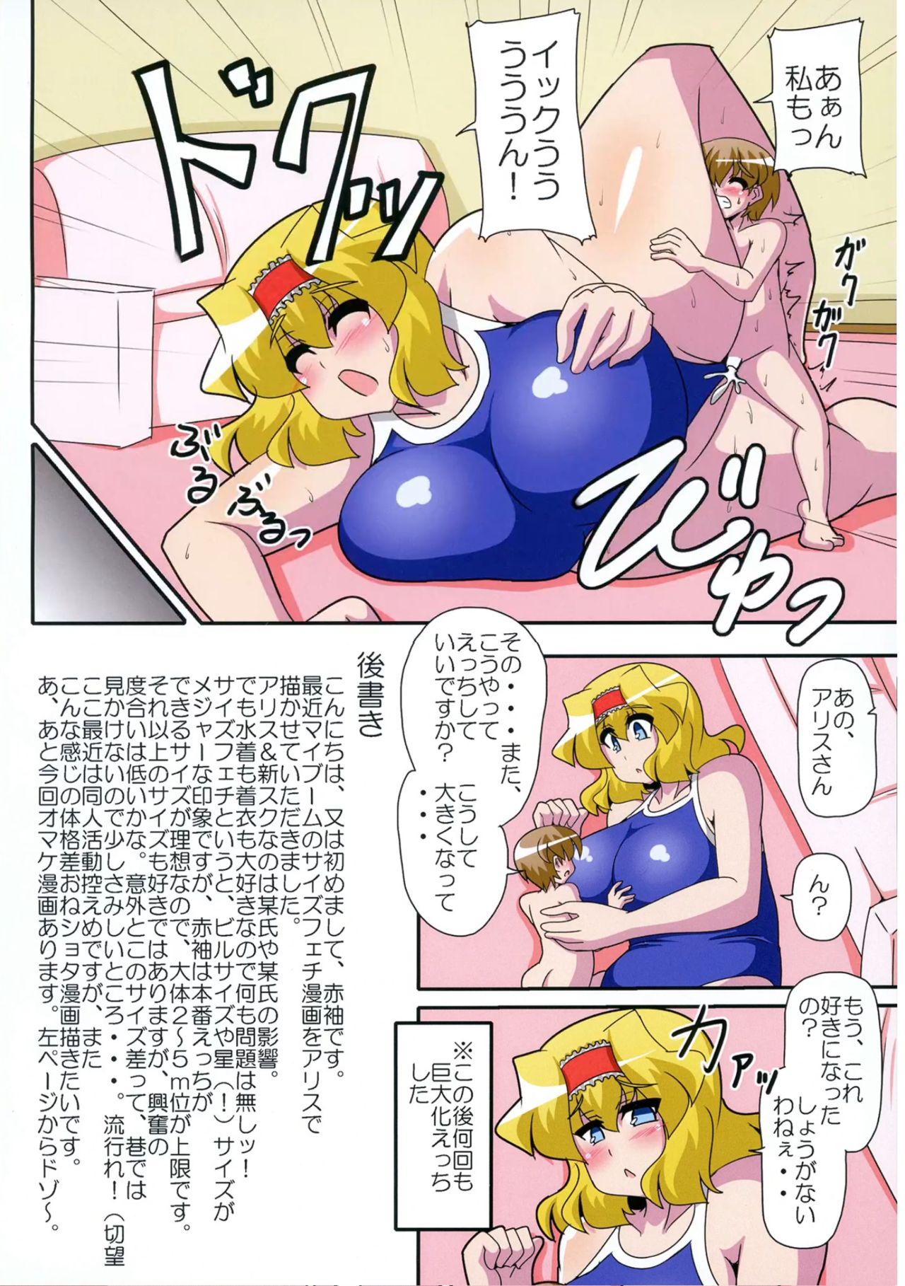 [妄想族の巣窟 (赤袖)] アリス1人を対象とする。ターン終了時まで、それは+3m/+3mの修正を受ける。 (東方Project) [DL版]