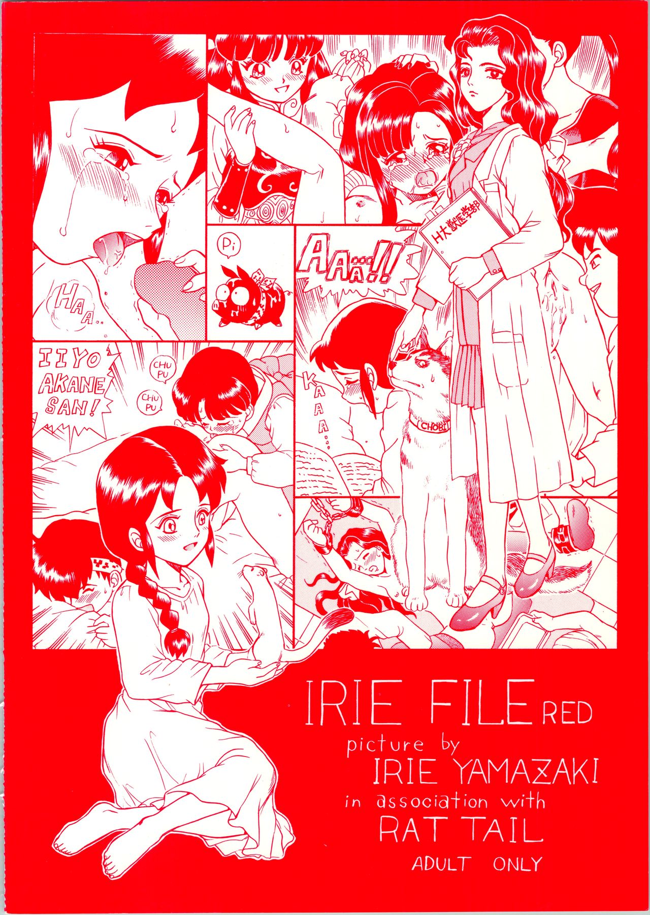 (C53) [RAT TAIL (IRIE YAMAZAKI)] IRIE FILE RED (らんま 1/2、ロミオの青い空)