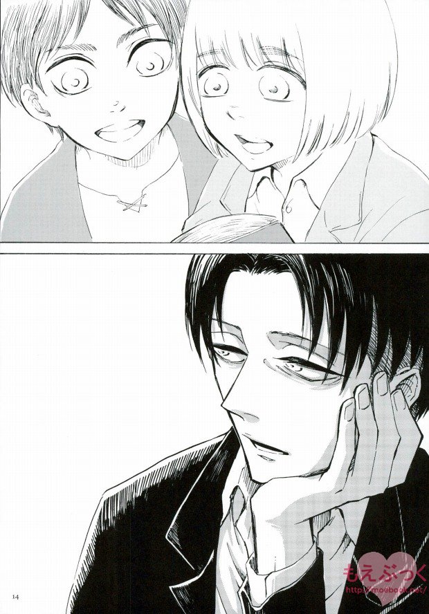 (第3回壁外調査博) [QuintalLagosta (エビグラ)] 泣くかもしれない (進撃の巨人)