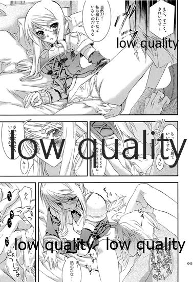 (C84) [杏仁 (とーか)] R18総集編 (ファイナルファンタジータクティクス)
