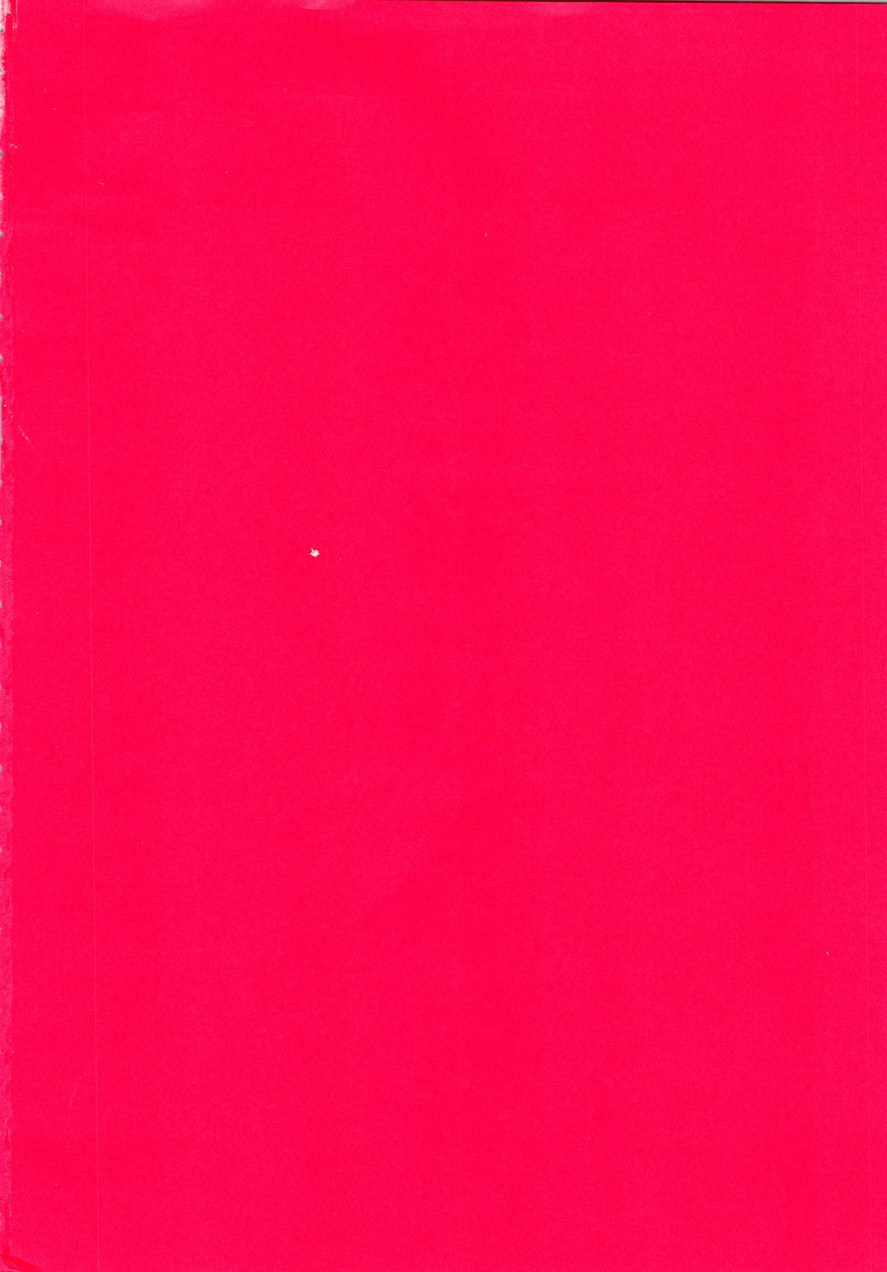 (C77) [Panic Attack! In SAILORQ2 (RYÖ)] イジワルナ天使ヨ世界ヲ笑エ! 改 (新世紀エヴァンゲリオン)