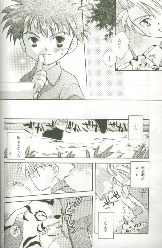 (C58) [Megumi (斎藤まほ)] サイバーフロンティア (デジモンアドベンチャー)