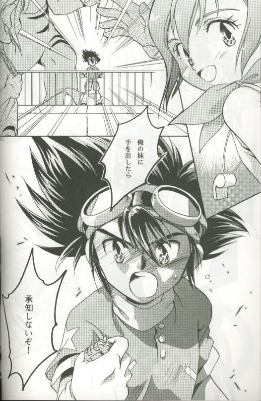 (C58) [Megumi (斎藤まほ)] サイバーフロンティア (デジモンアドベンチャー)