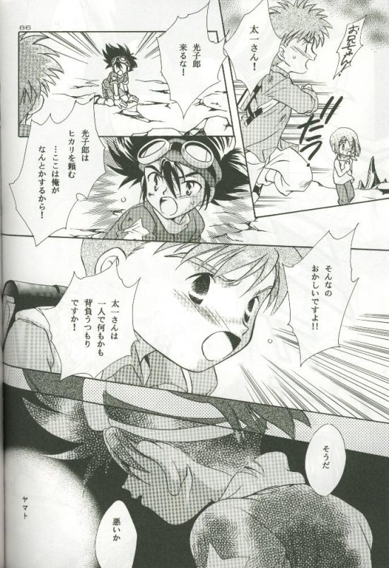 (C58) [Megumi (斎藤まほ)] サイバーフロンティア (デジモンアドベンチャー)