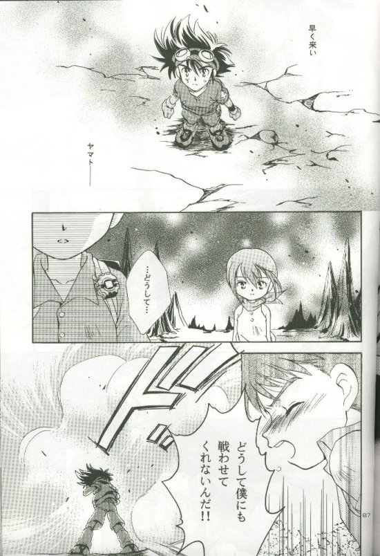 (C58) [Megumi (斎藤まほ)] サイバーフロンティア (デジモンアドベンチャー)
