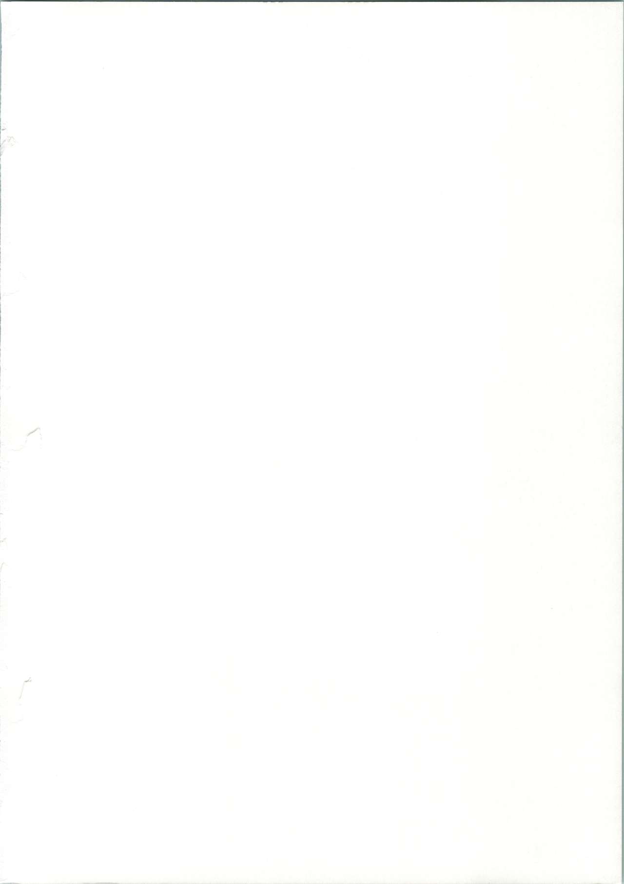 (C67) [DIFFERENT (よろず)] TWIN★PLANET FAINAL (おねがい☆ツインズ)