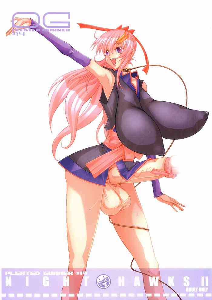 (C69) [HGH (HG茶川)] Pleated Gunner #14 - Night Hawks 2 (機動戦士ガンダムSEED DESTINY) [英訳]