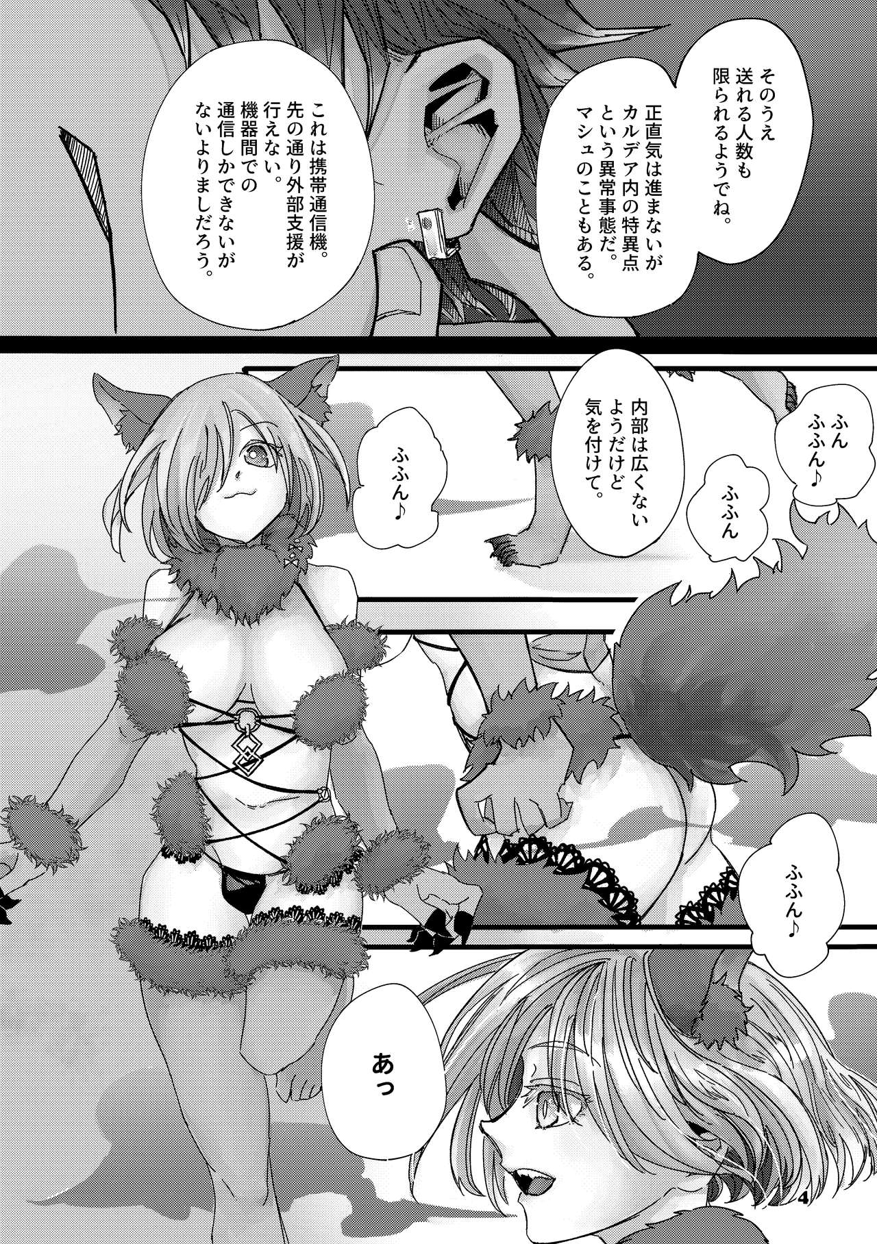 [置物置き] Danger & Danger (Fate/Grand Order) [DL版]