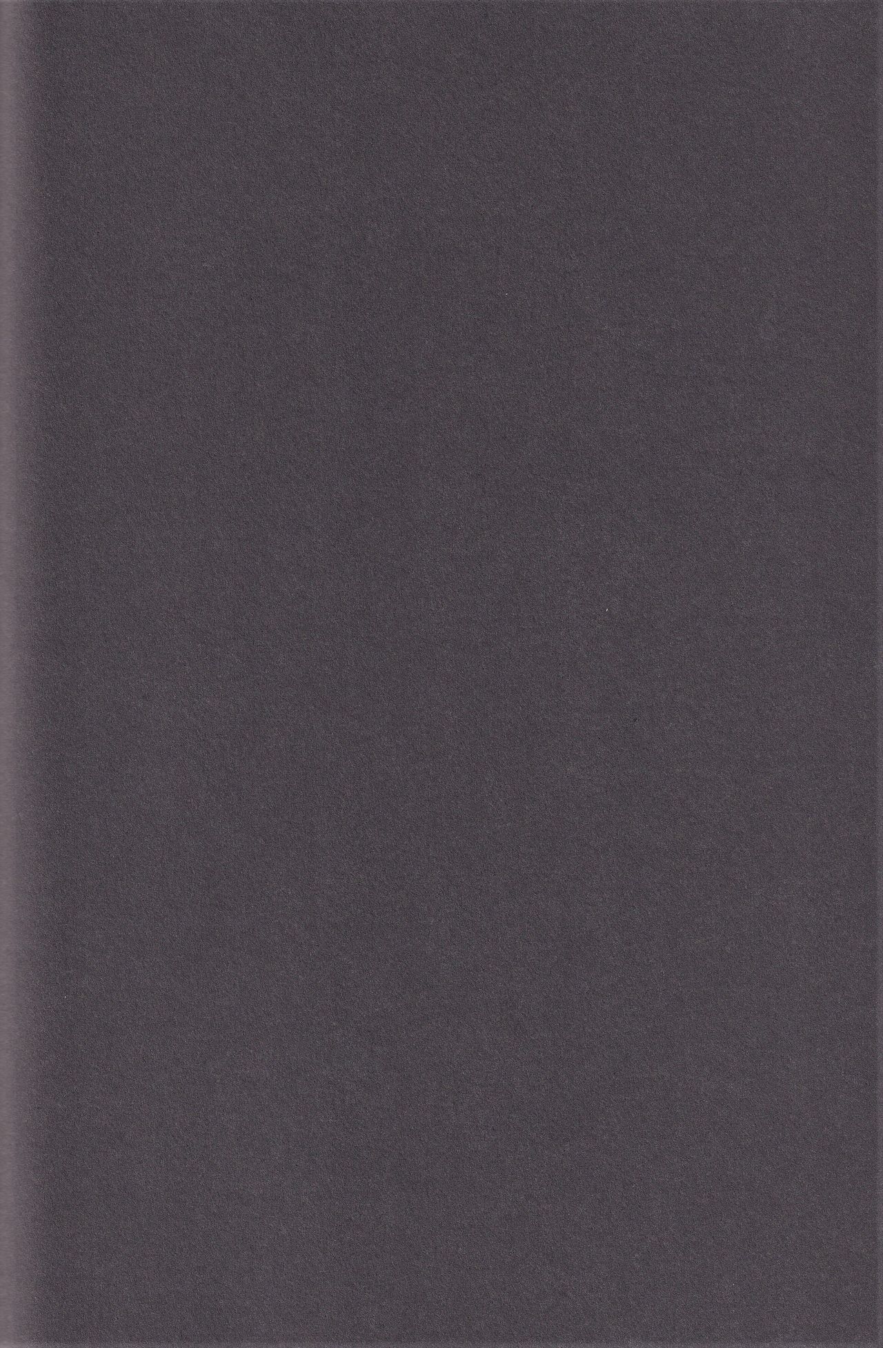 [着火星/チャツカスタア(にっき)] 池袋心中 (成人向) (デュラララ!!)