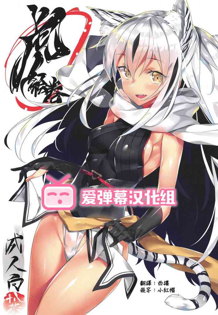 (C96) [小糸創作所 (ひなた睦月)] 虎絵巻 (Fate/Grand Order) [中国翻訳]