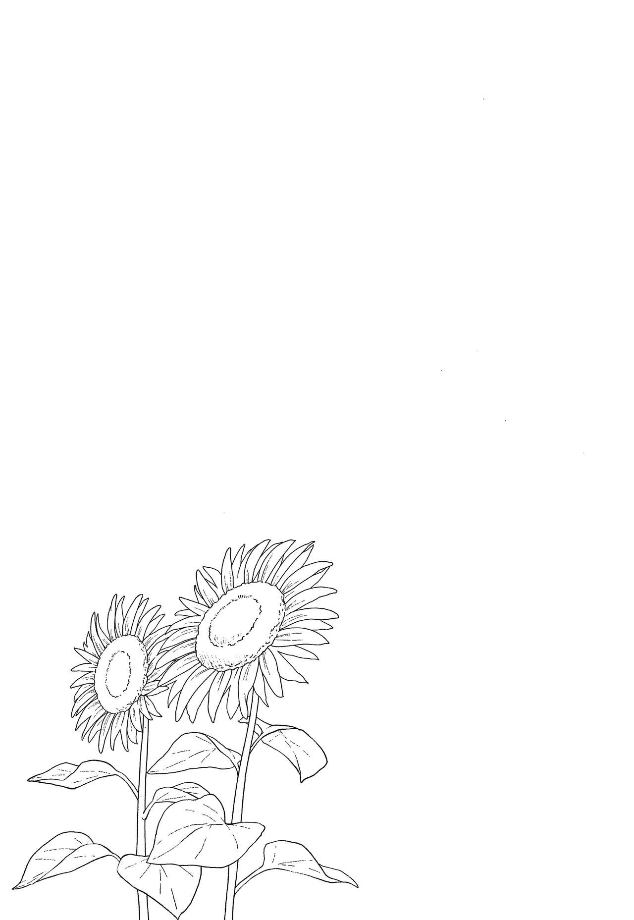 [メガねぃ] 思春期のお勉強 [英訳]