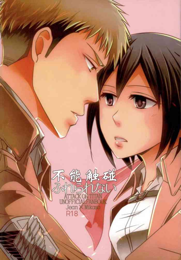 (FALL OF WALL 大阪) [狭間 (サヤマ)] ふれられない (進撃の巨人) [中国翻訳]