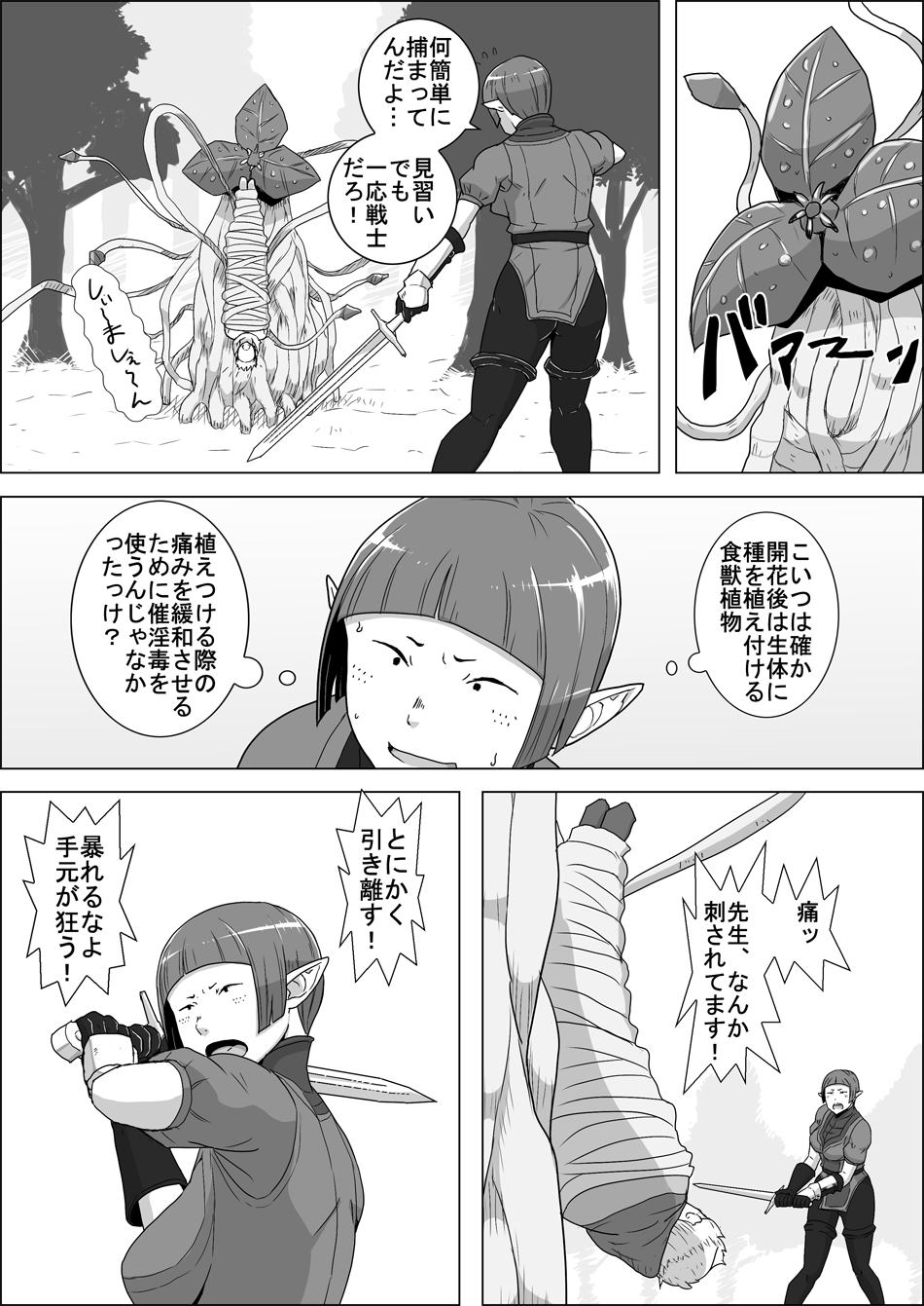 [Atelier-D] まだ題名のないファンタジー 地味なエルフと見習いの戦士 I-XIII[DL版]
