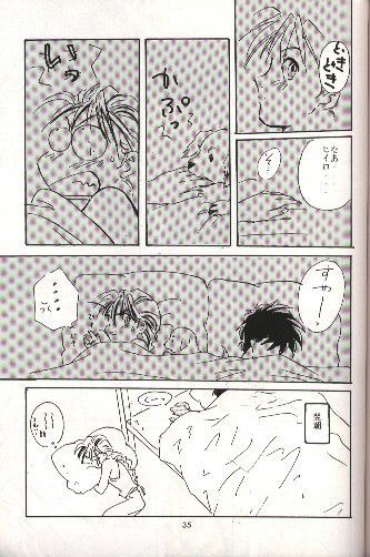 (C51) [りんご財団, 白河夜船連合 (彩葉みどり, 火紋ゆうき)] SNOW GARDEN (ガンダムW)