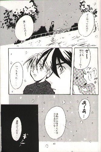 (C51) [りんご財団, 白河夜船連合 (彩葉みどり, 火紋ゆうき)] SNOW GARDEN (ガンダムW)